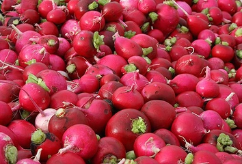 Kara Turpun Faydaları ve Kullanımı